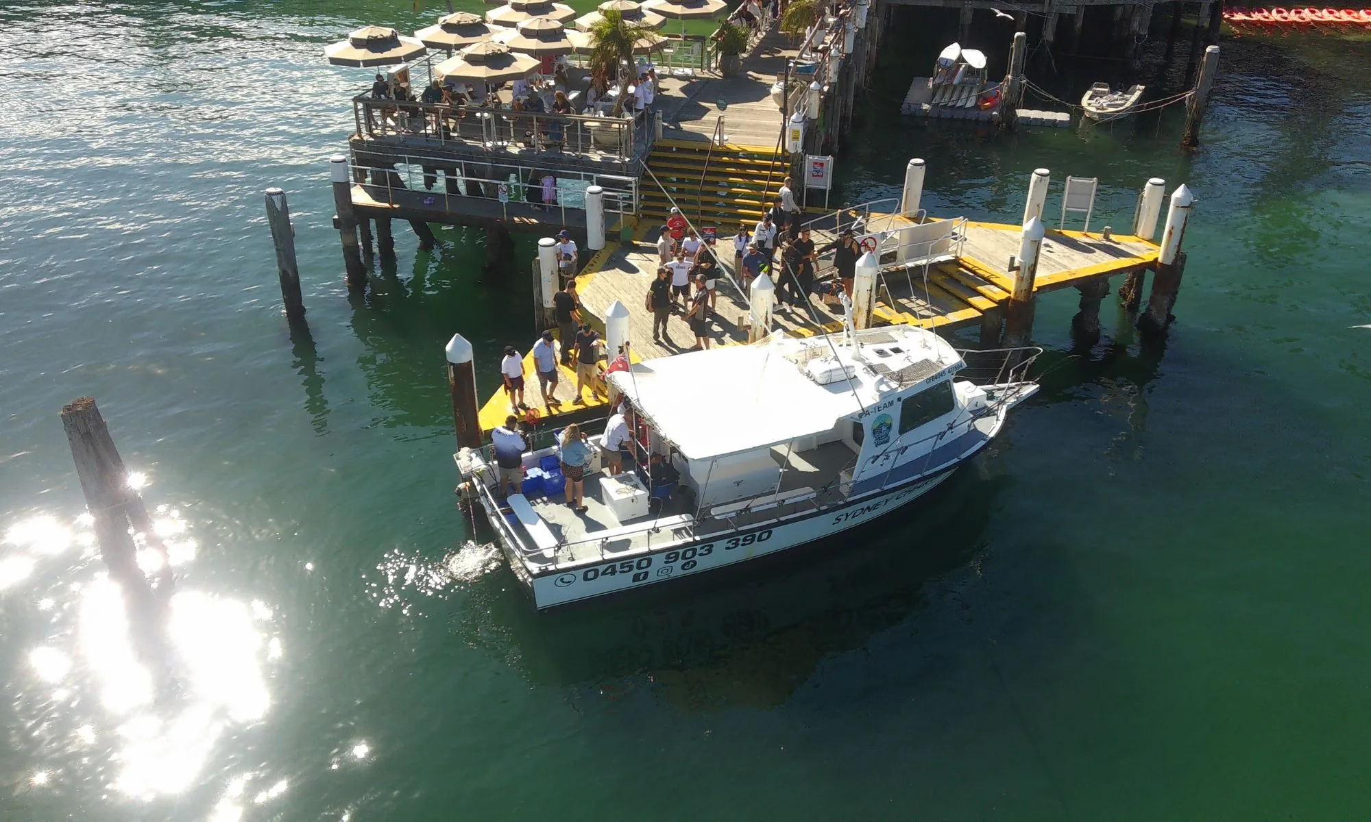 Offshore Deep Sea Reef Fishing Charter from Sydney - 7 Hours | Experience Oz-9