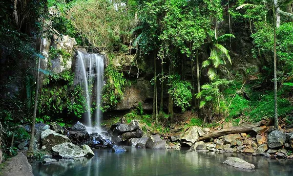 The Tastes of Tamborine Mountain