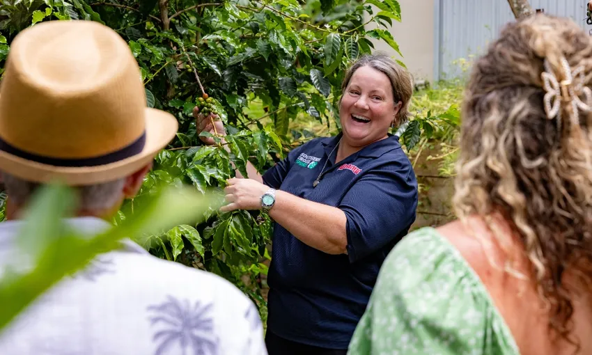Tamborine Mountain Food & Wine Tour - Book Now | Experience Oz