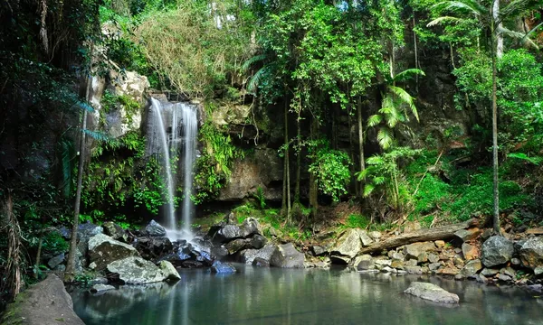 The Tastes of Tamborine Mountain