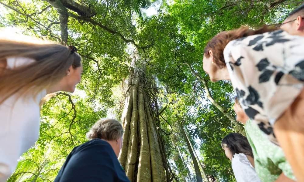 Tamborine Mountain Food & Wine Tour - Book Now | Experience Oz-19