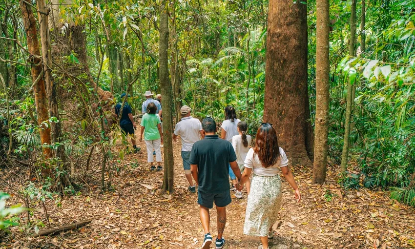 Tamborine Mountain Food & Wine Tour - Book Now | Experience Oz