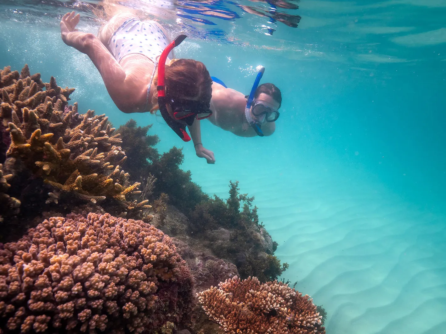 Great Barrier Reef Islands Tour From Mackay | Experience Oz-3