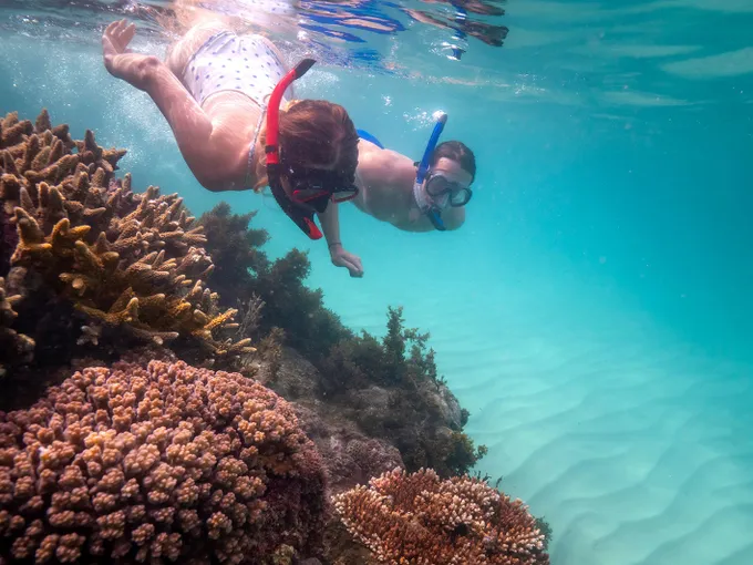 Great Barrier Reef Islands Tour From Mackay | Experience Oz