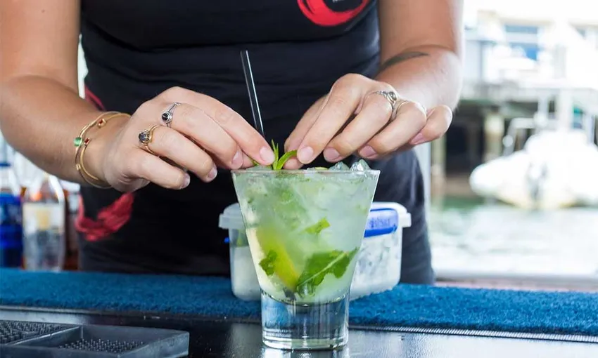 Mooloolaba Sunday Session Harbour Cruise | Experience Oz
