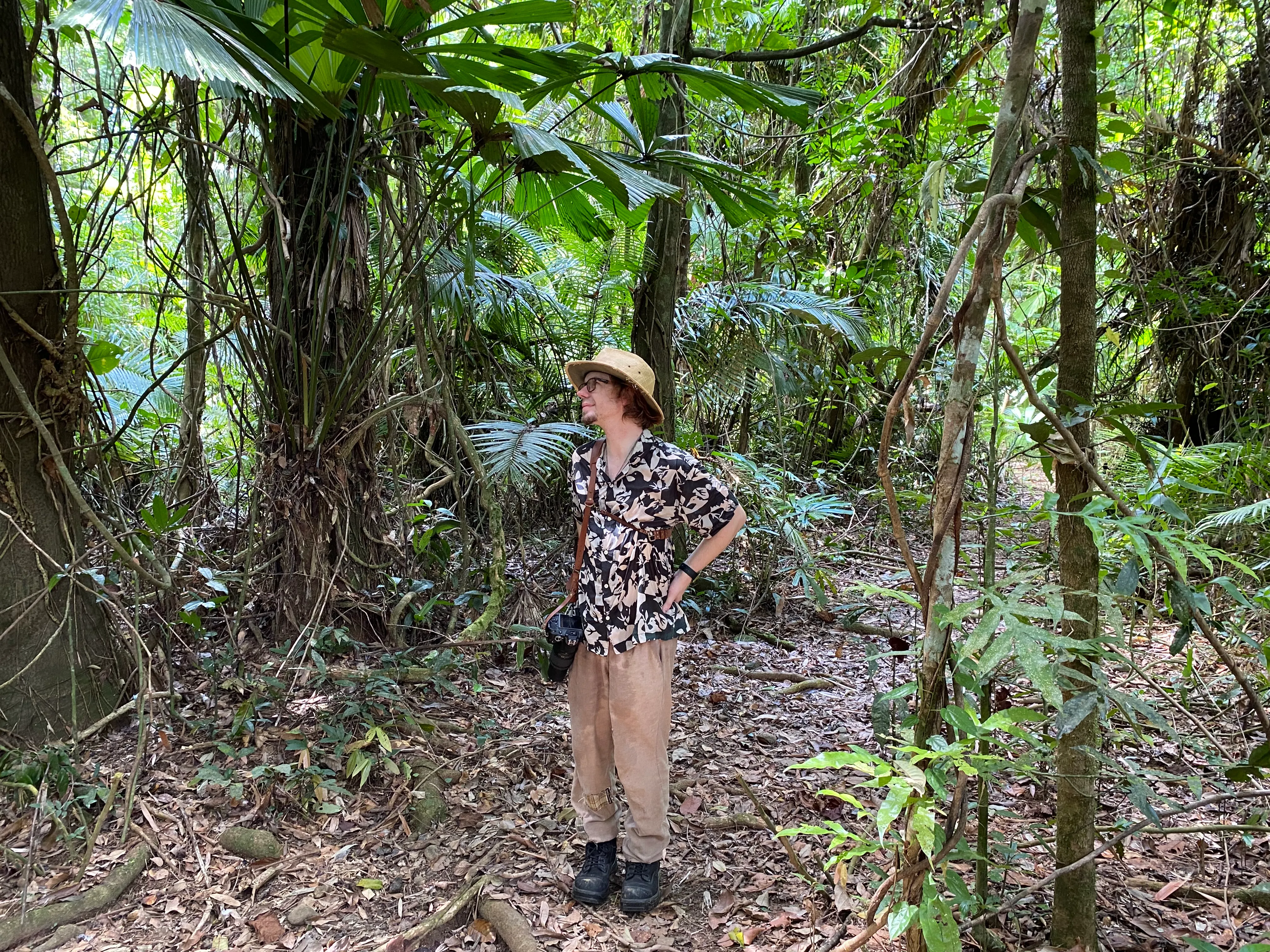 Daintree Rainforest Forest Bathing - 2 Hours | Experience Oz-5