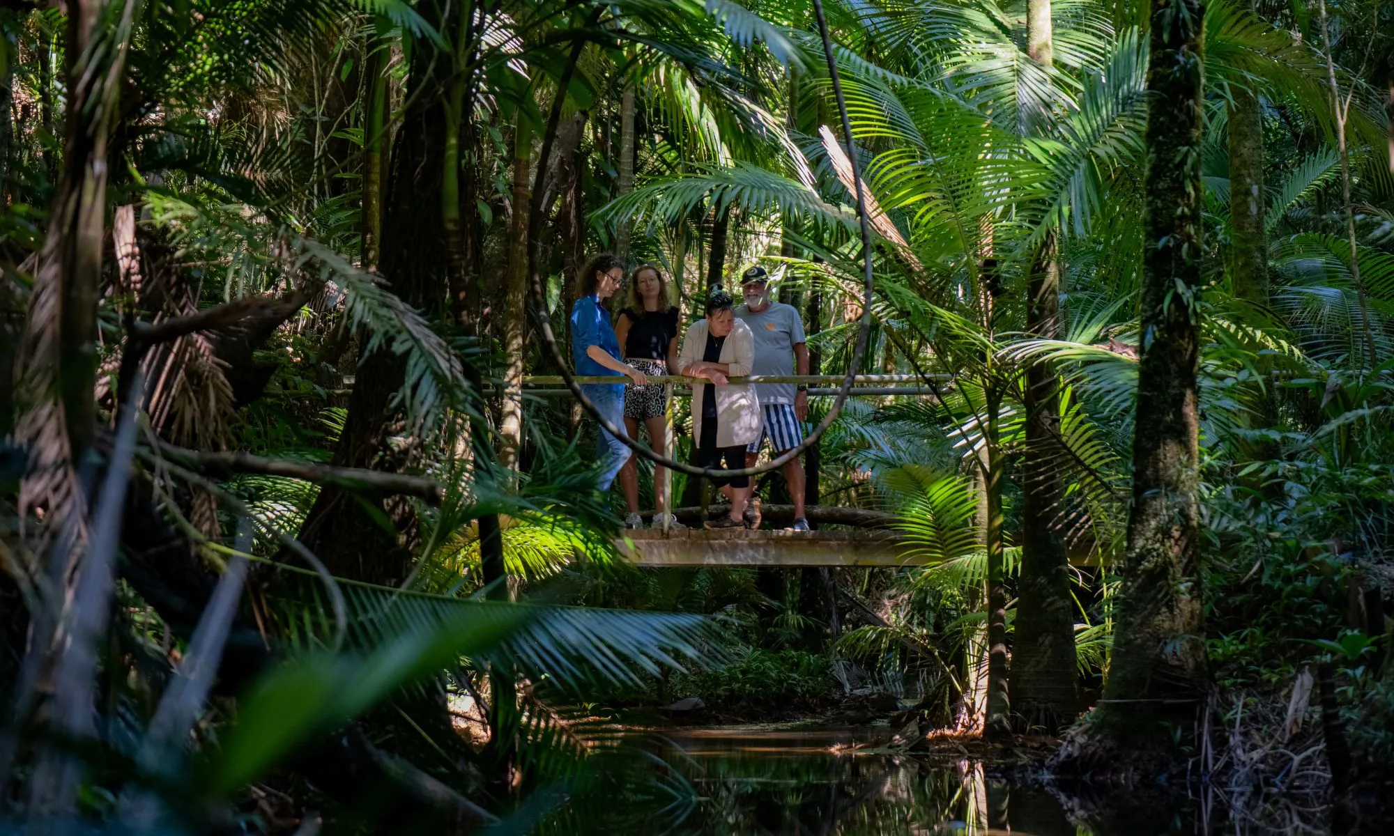 Daintree Rainforest Forest Bathing - 2 Hours | Experience Oz-1