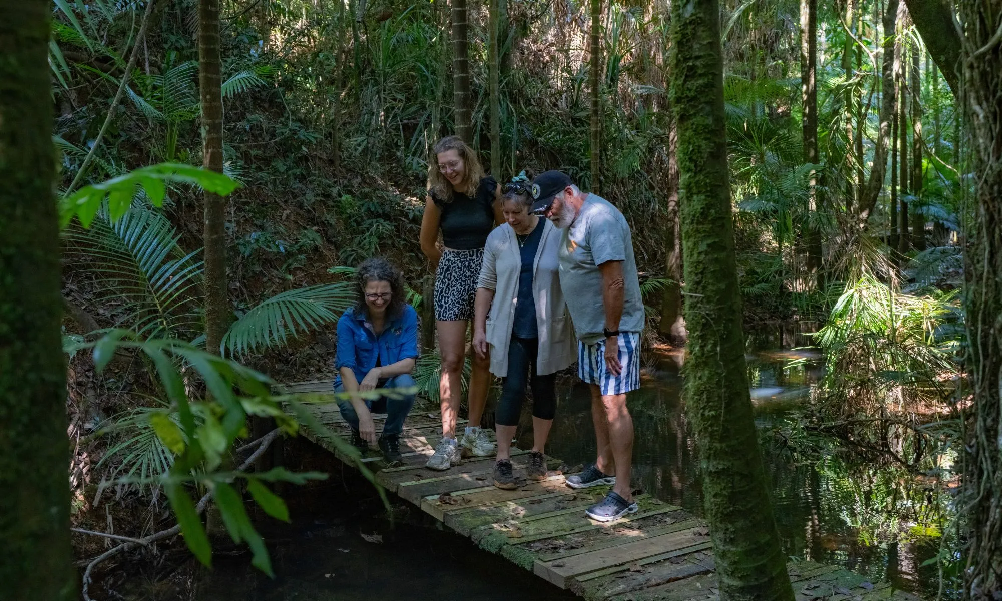 Daintree Rainforest Forest Bathing - 2 Hours | Experience Oz-4