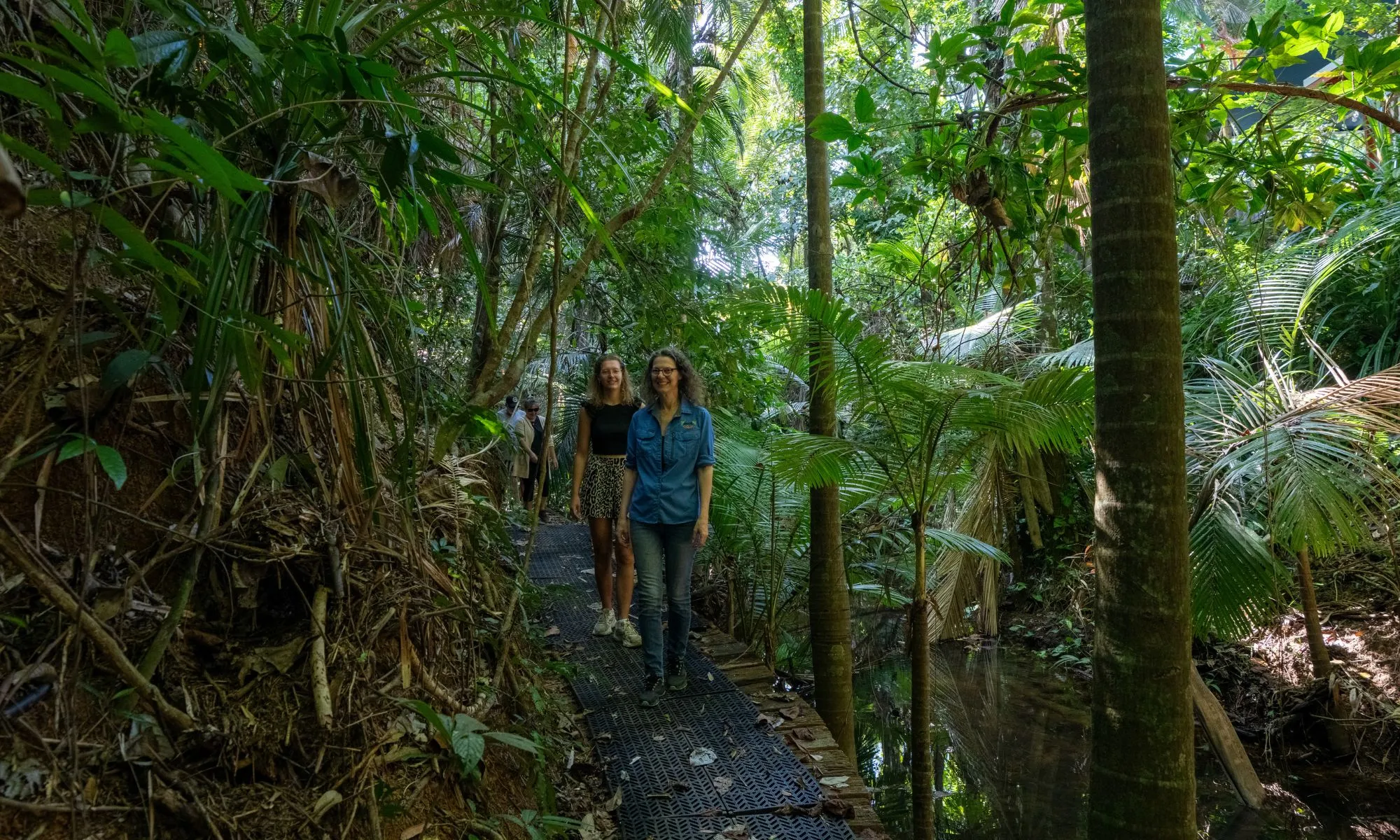 Daintree Rainforest Forest Bathing - 2 Hours | Experience Oz-6