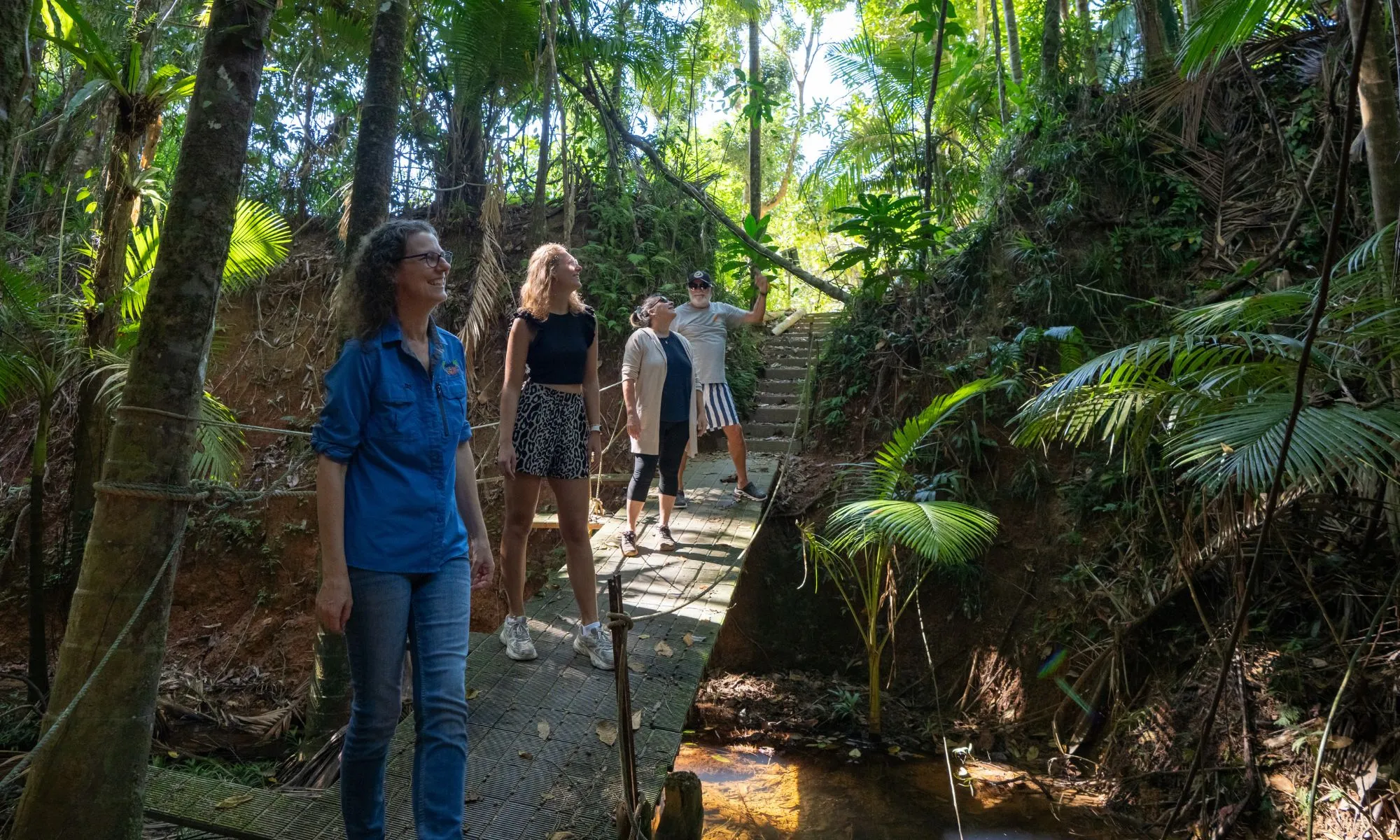 Daintree Rainforest Forest Bathing - 2 Hours | Experience Oz-8