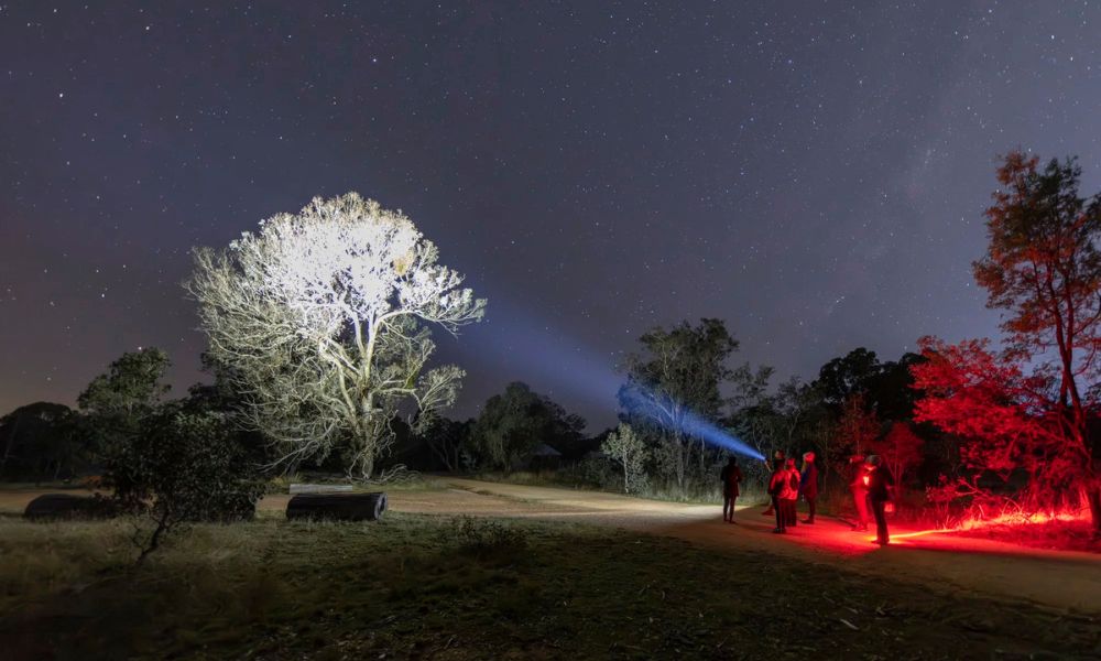 Woodland Sanctuary Twilight Tour, 2.5 Hours - Canberra