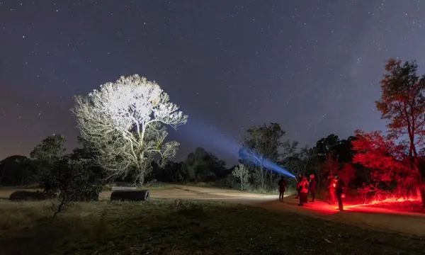 Woodland Sanctuary Twilight Tour, 2.5 Hours - Canberra