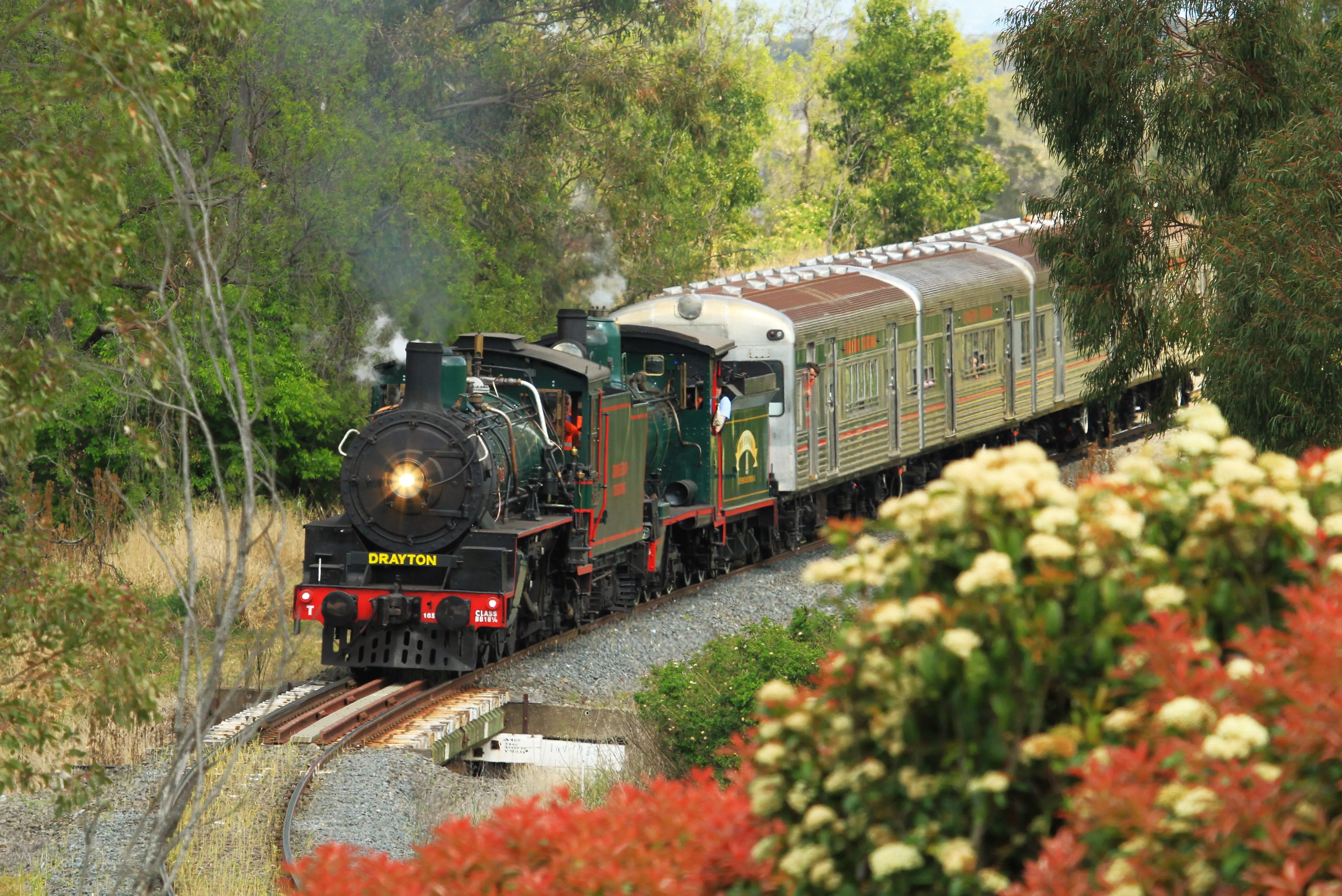 Darling Downs Father's Day Steam Train Tour | Experience Oz-3
