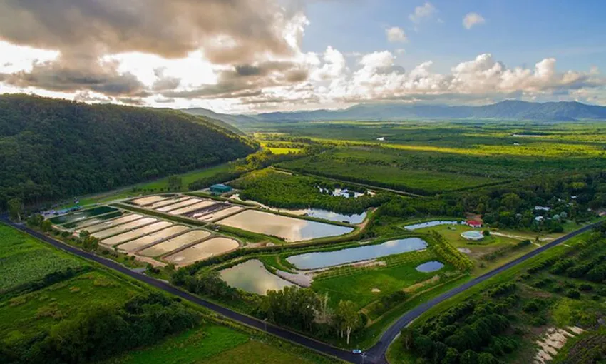 Cairns Sustainable Fishing Farm Tour - Book Now | Experience Oz
