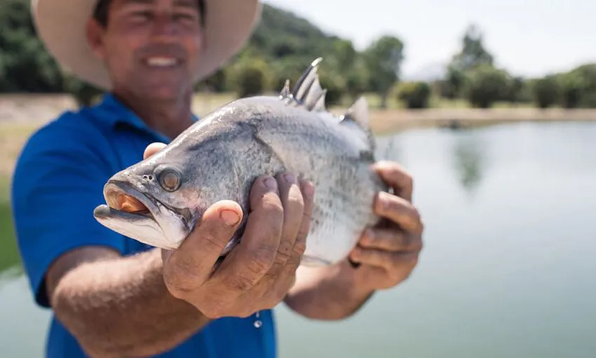 Cairns Sustainable Fishing Farm Tour - Book Now | Experience Oz