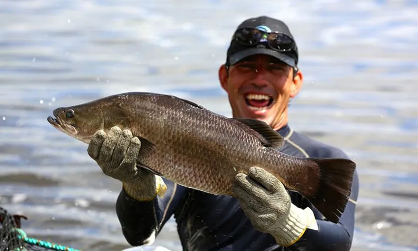 Cairns Sustainable Fishing Farm Tour - Book Now | Experience Oz