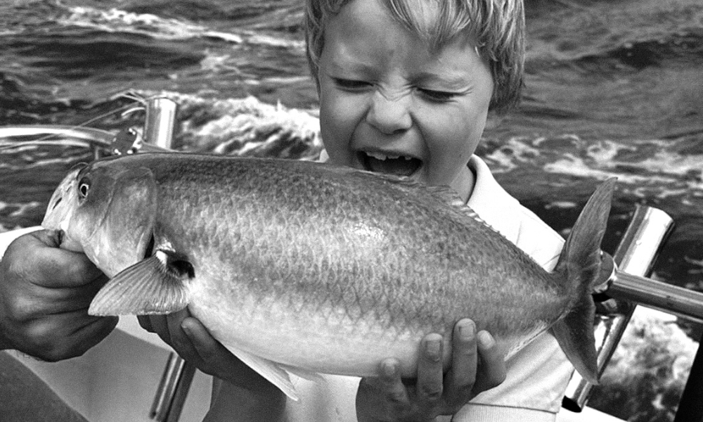 Family Fishing Charter, 4 Hours - Sorrento - For up to 10