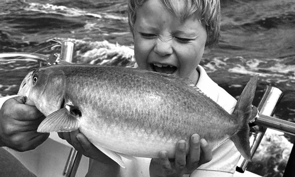 Family Fishing Charter, 4 Hours - Sorrento - For up to 10