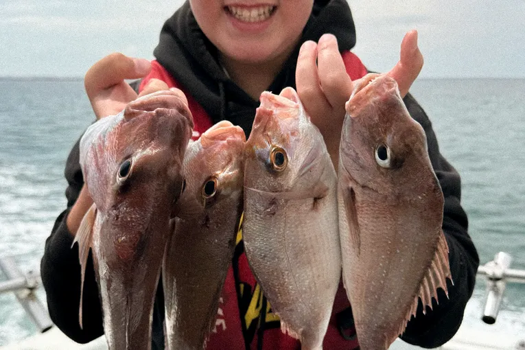 Family Fishing Charter, 4 Hours - Sorrento - For up to 10