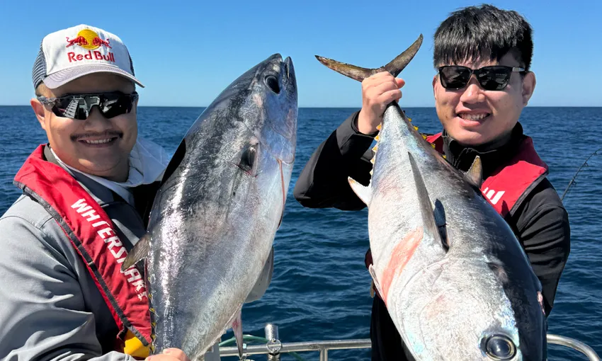 Sorrento Bay Fishing Charter - 5 Hours | Experience Oz