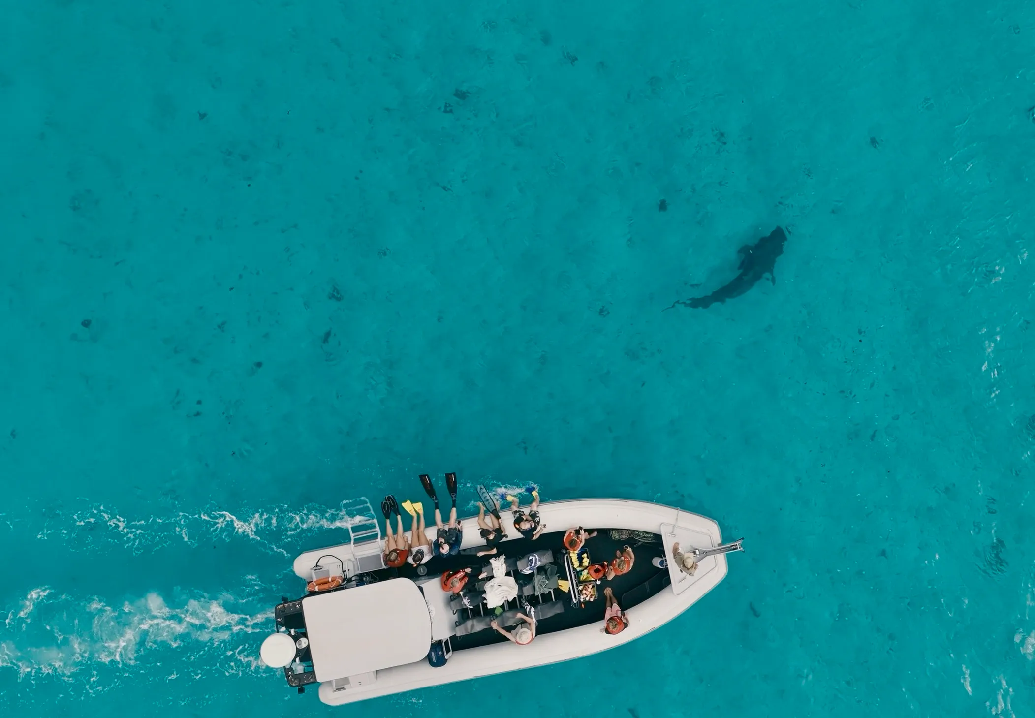 Coral Bay Ningaloo Reef Snorkel Tour - 3 Hours | Experience Oz-4