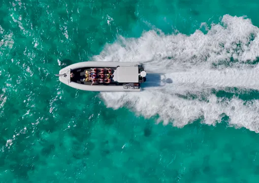 Ningaloo Reef Snorkel Tour, 3 Hours - Coral Bay