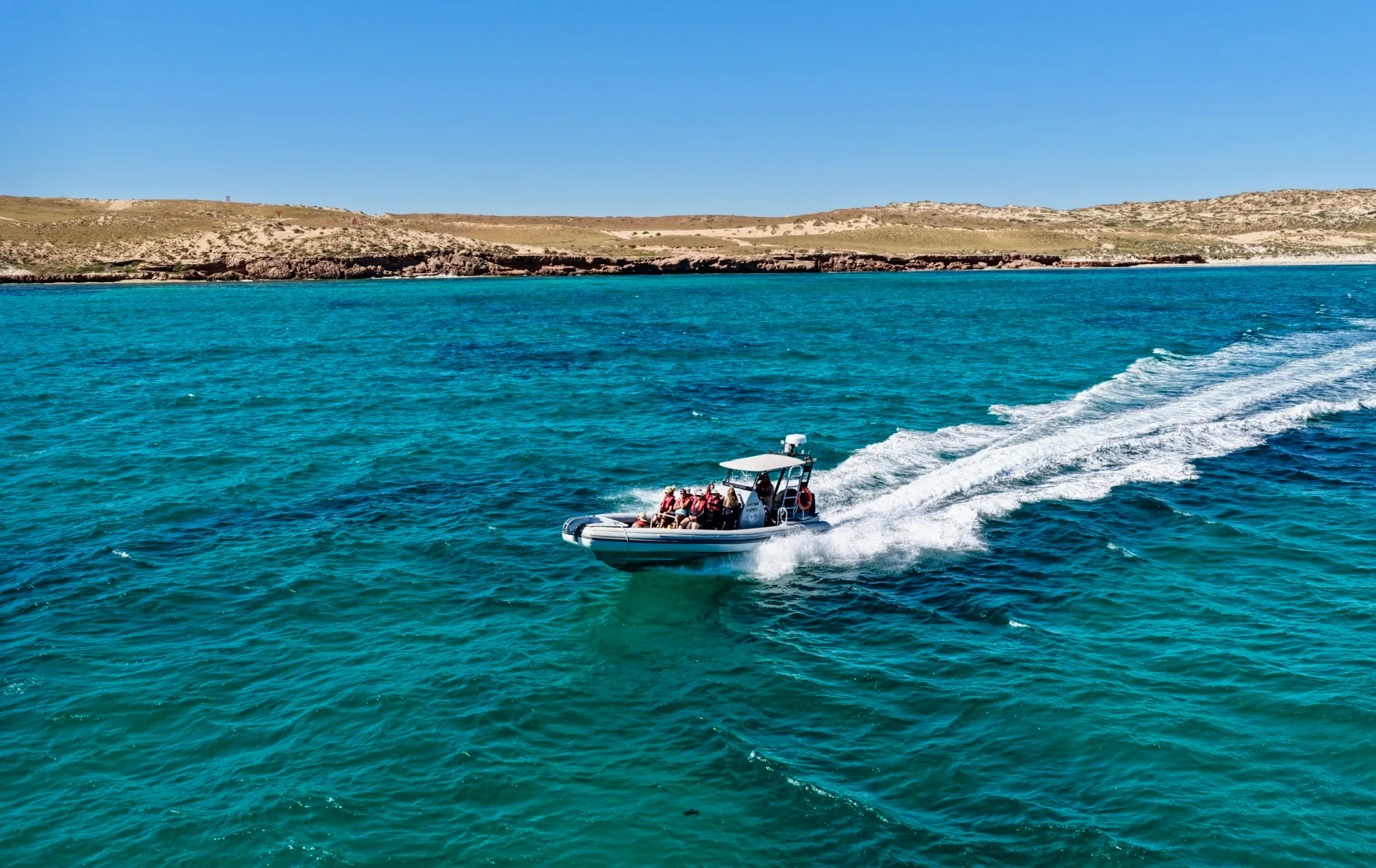 Coral Bay Whale Watching Cruise - 2.5 Hours | Experience OZ-2