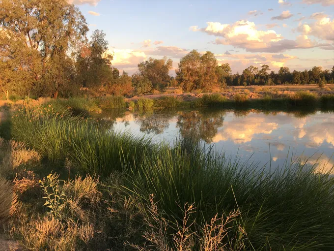 Guided Date Farm Tour & Tasting - 90 Minutes | Experience Oz