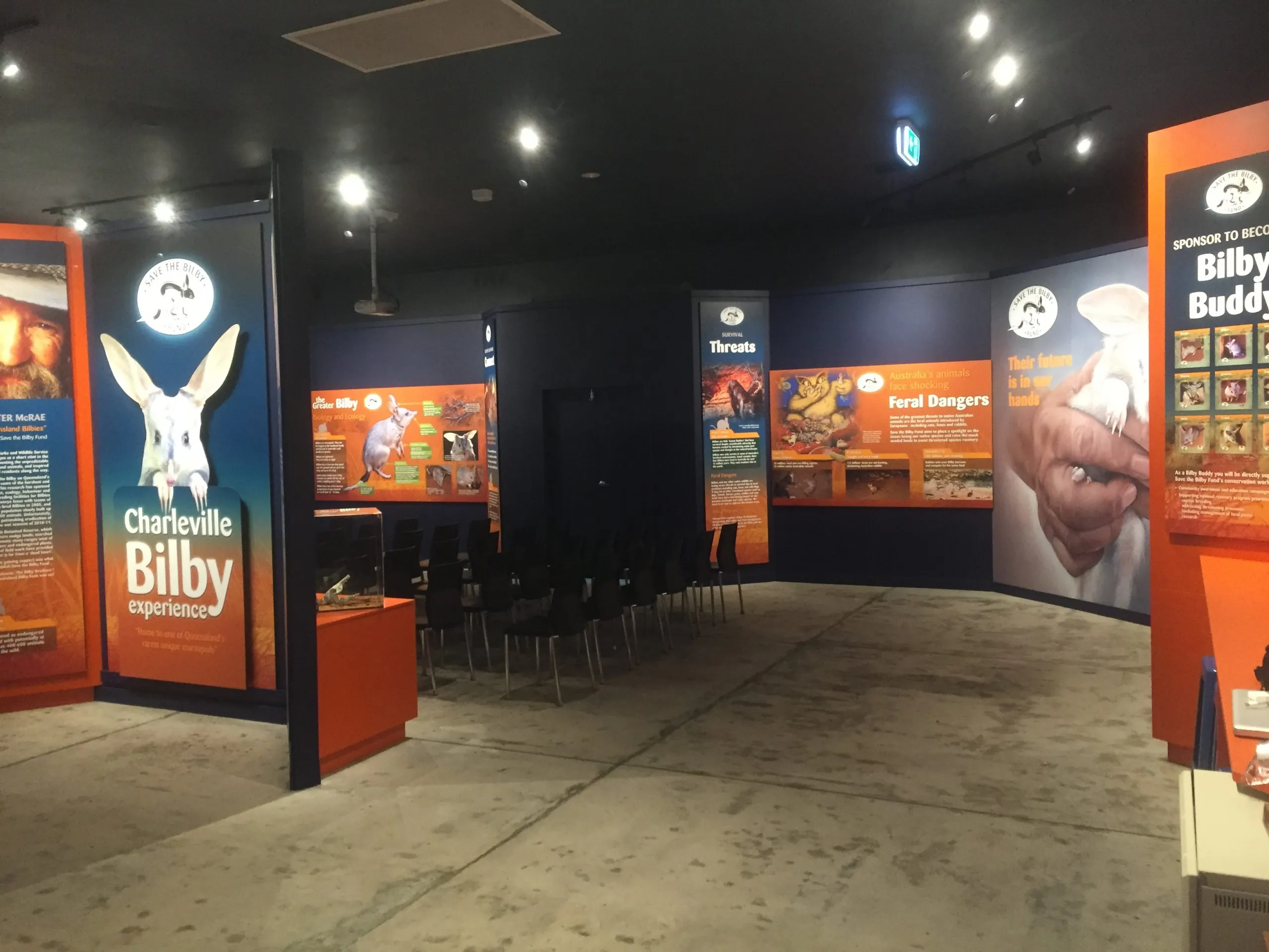 Charleville Bilby Nocturnal House Tour - 1 Hour | Experience Oz-2