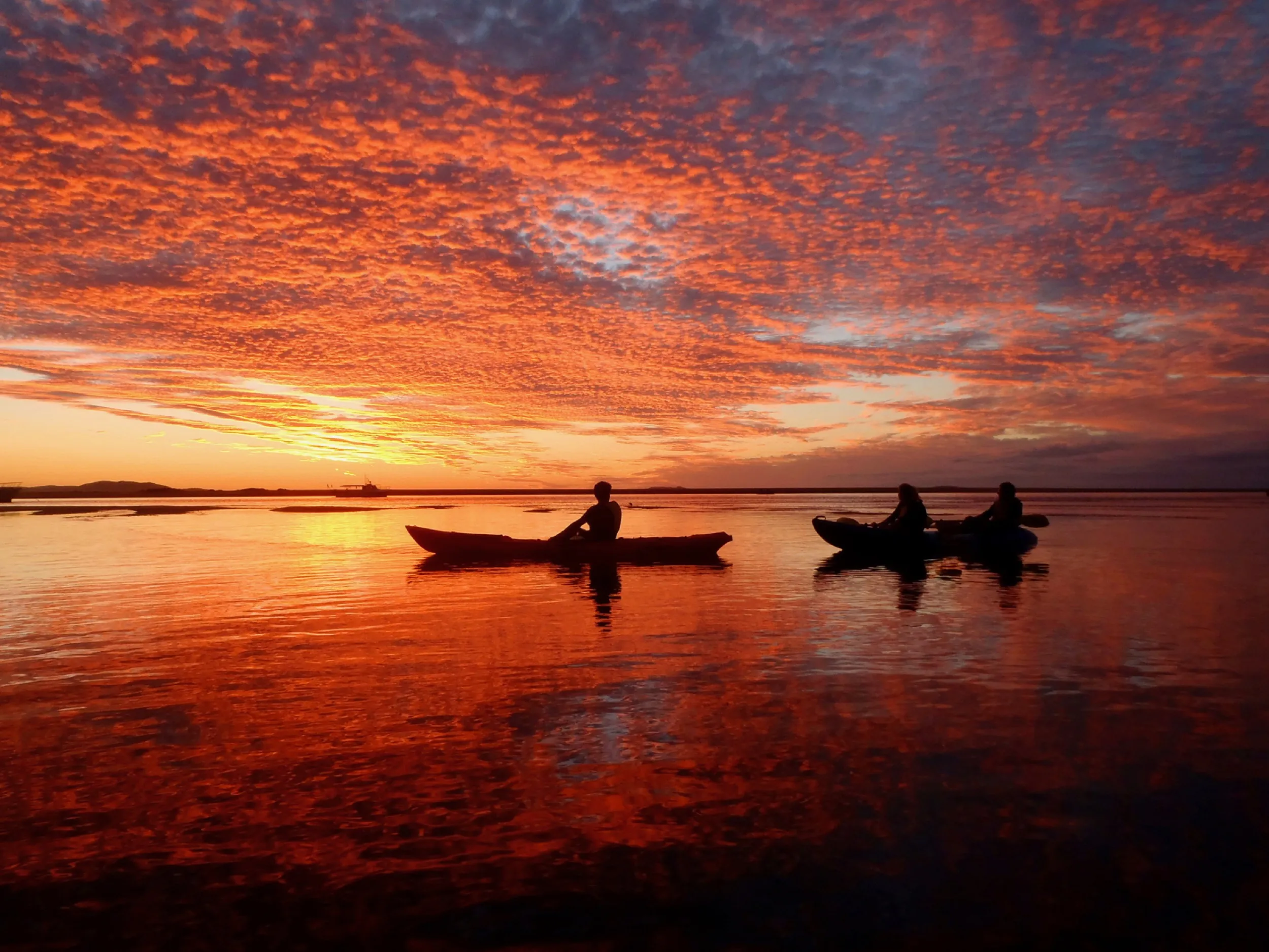 1770 Sunset Kayak Tour - 2.5 Hours | Experience Oz-2