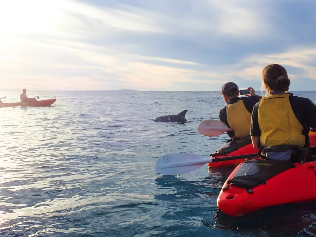 1770 Sunset Kayak Tour - 2.5 Hours | Experience Oz-1