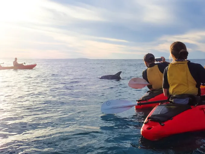 1770 Sunset Kayak Tour - 2.5 Hours | Experience Oz