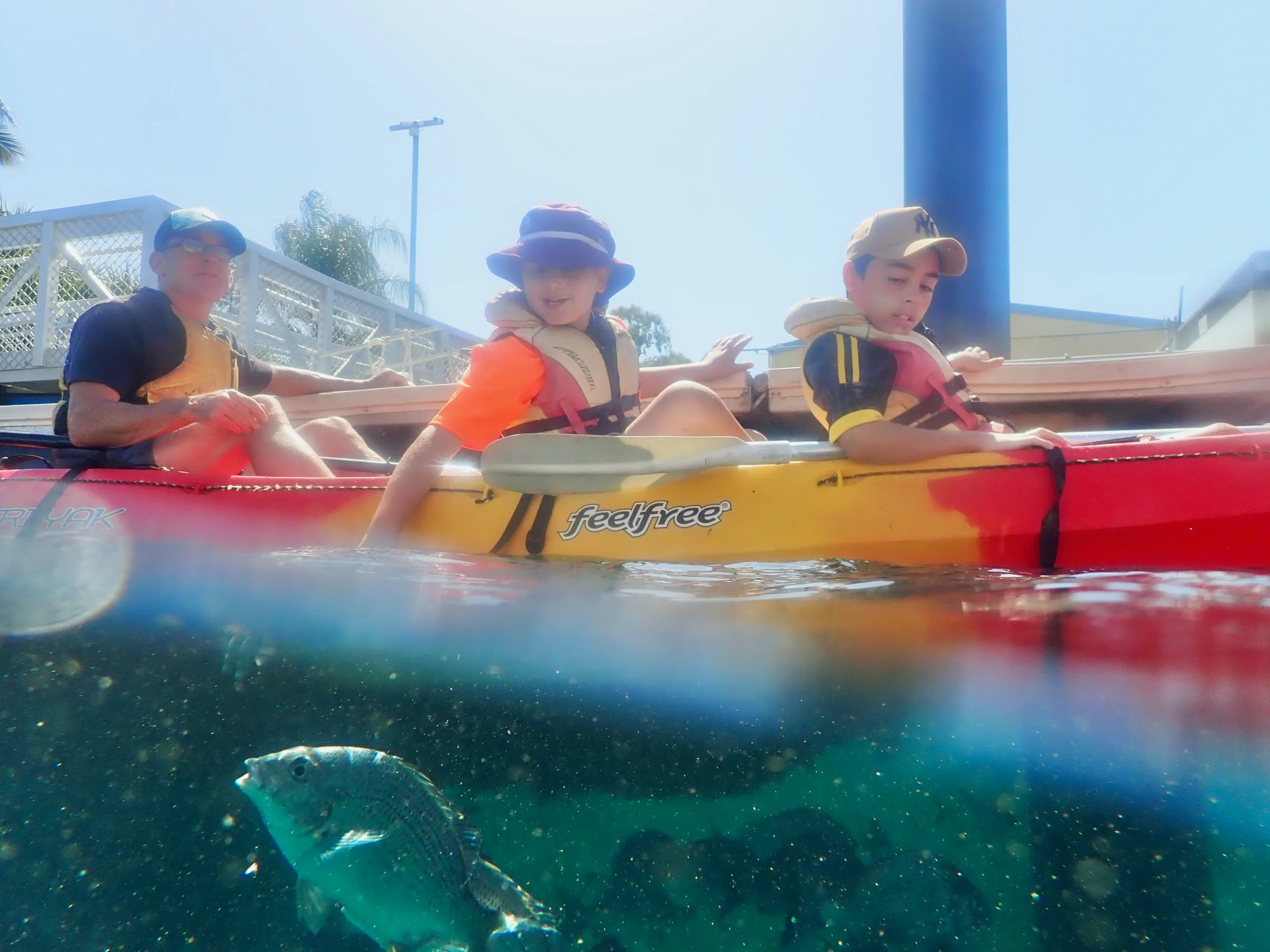 1770 Family Kayak Tour - 2 Hours | Experience Oz-5