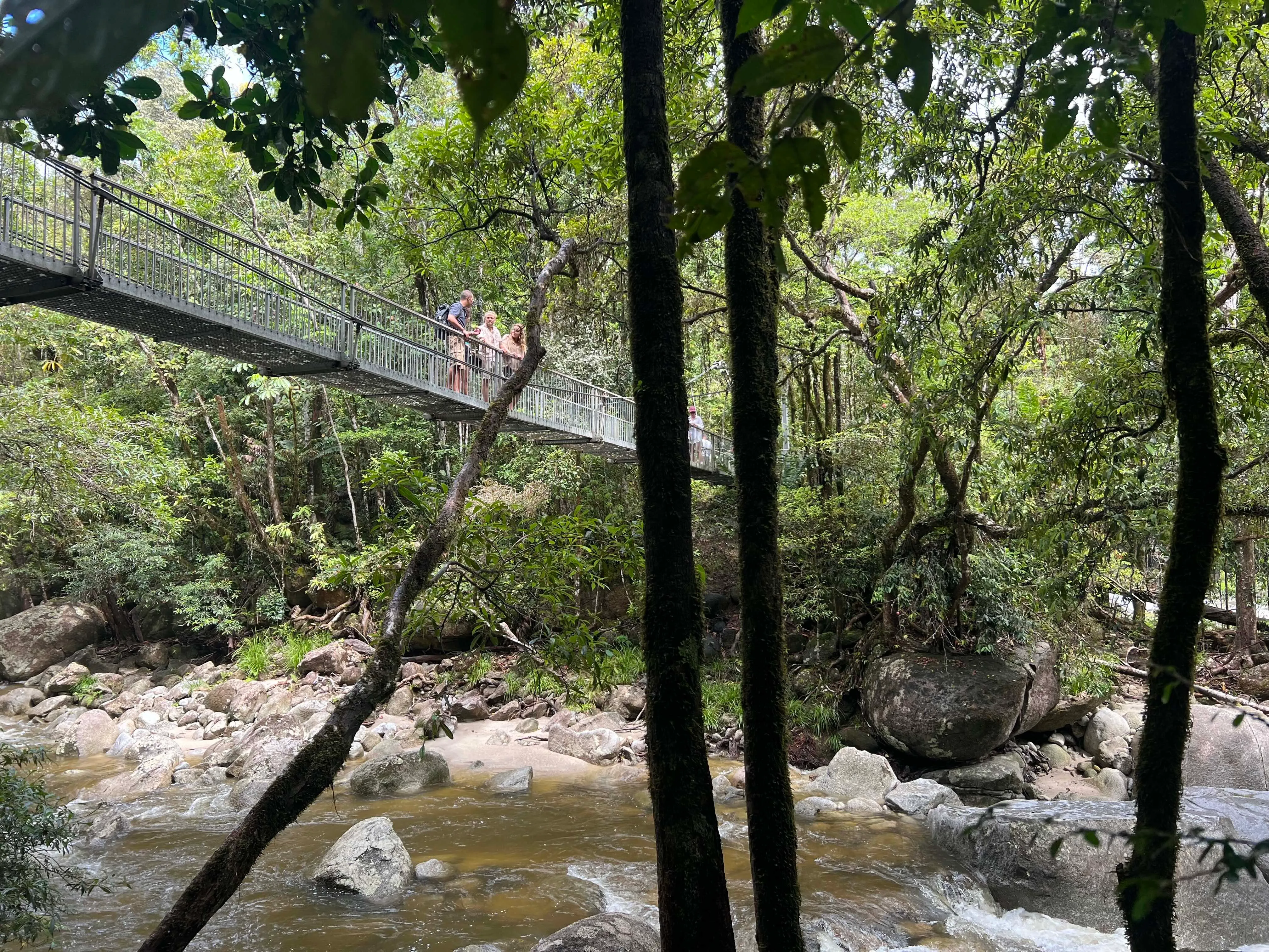 Daintree Rainforest & Crocodile Cruise Tour | Experience Oz-6