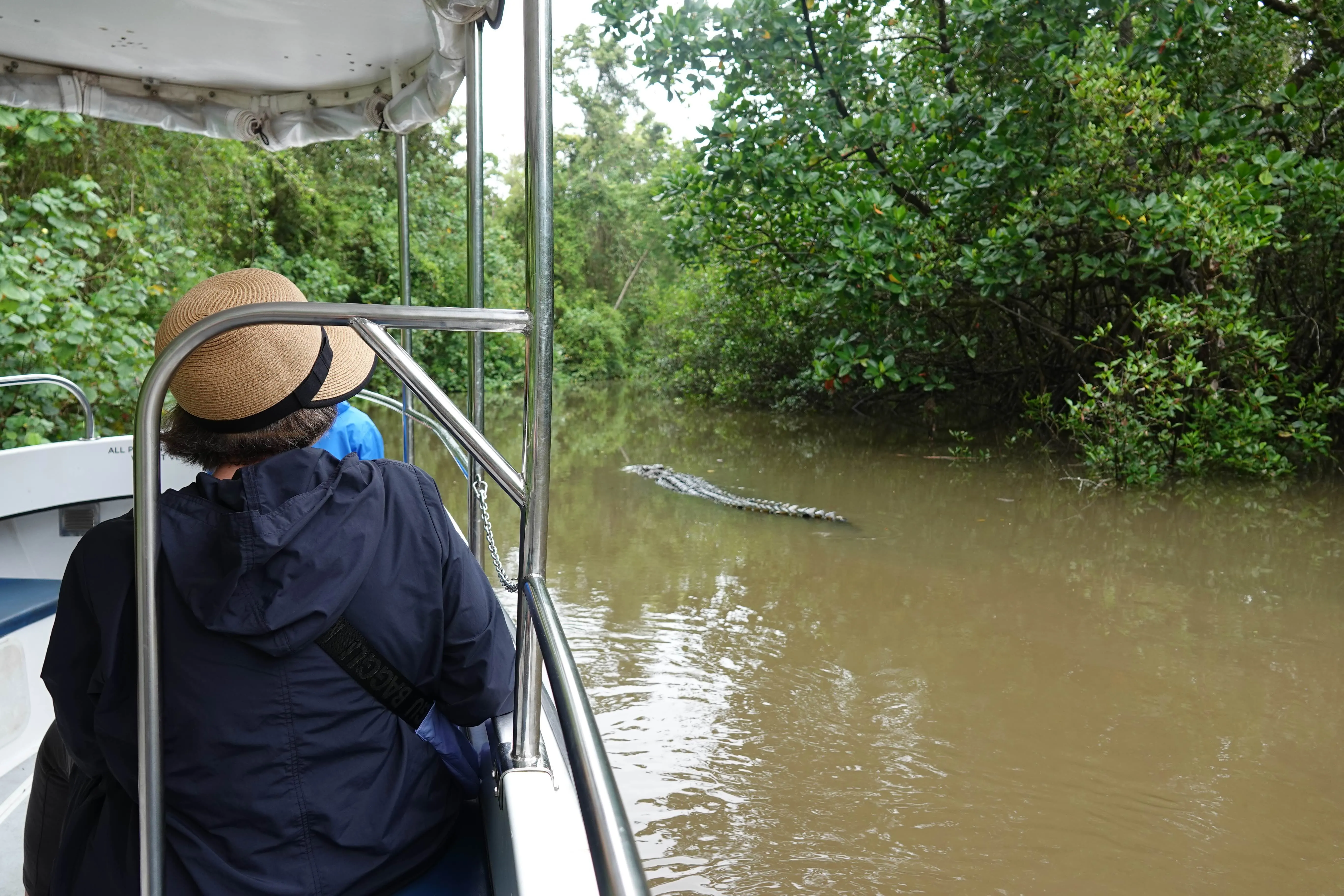 Daintree Rainforest & Crocodile Cruise Tour | Experience Oz-7