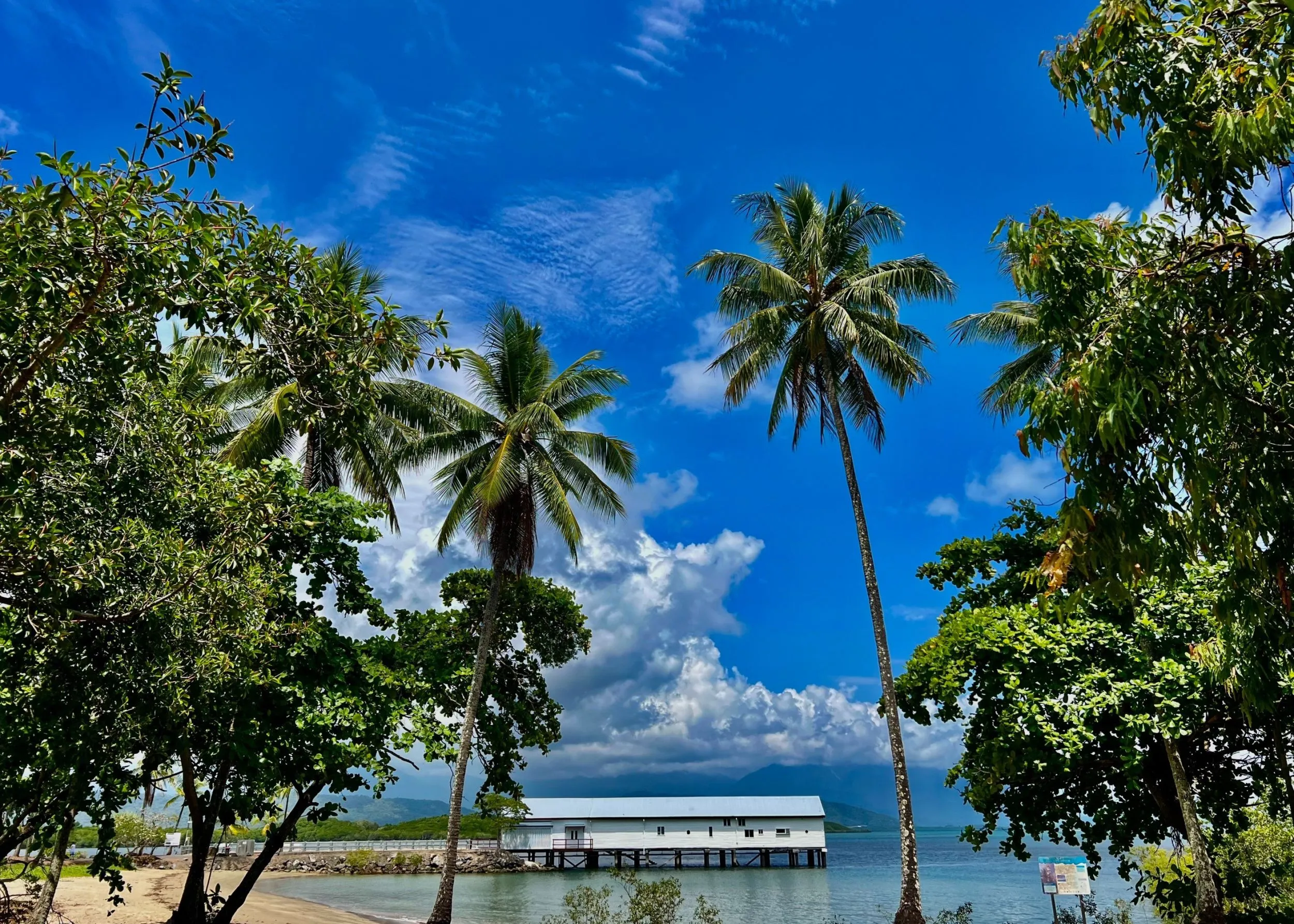 Daintree Rainforest & Crocodile Cruise Tour | Experience Oz-4