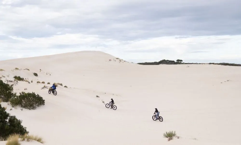 Kangaroo Island Guided E-Bike Tour - 2 Hours | Experience Oz-3