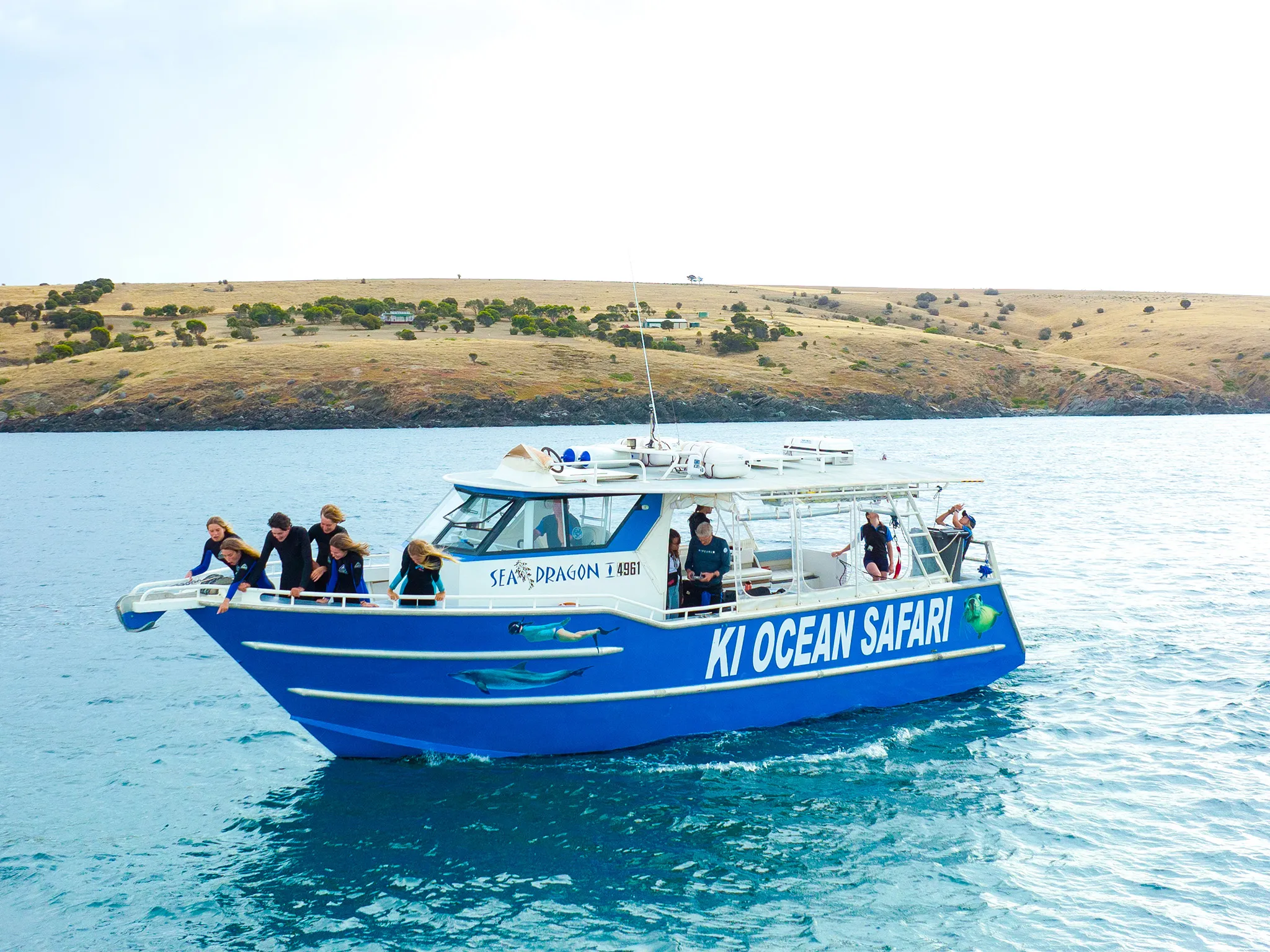 Kangaroo Island Dolphin and Seal Swim - 2 Hours | Experience Oz-4