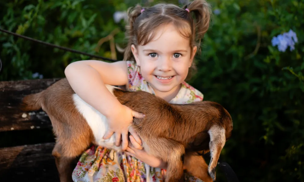 Cow and Farm Animal Tour with Souvenir Plush Cow | Experience Oz-4