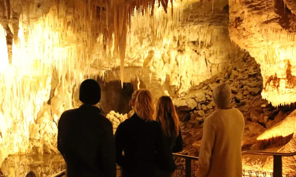 Waitomo Glowworm Caves from Auckland | Everything New Zealand-5