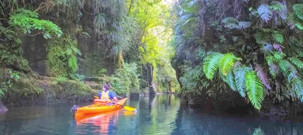 Scenic Lake Mclaren Kayak Tour