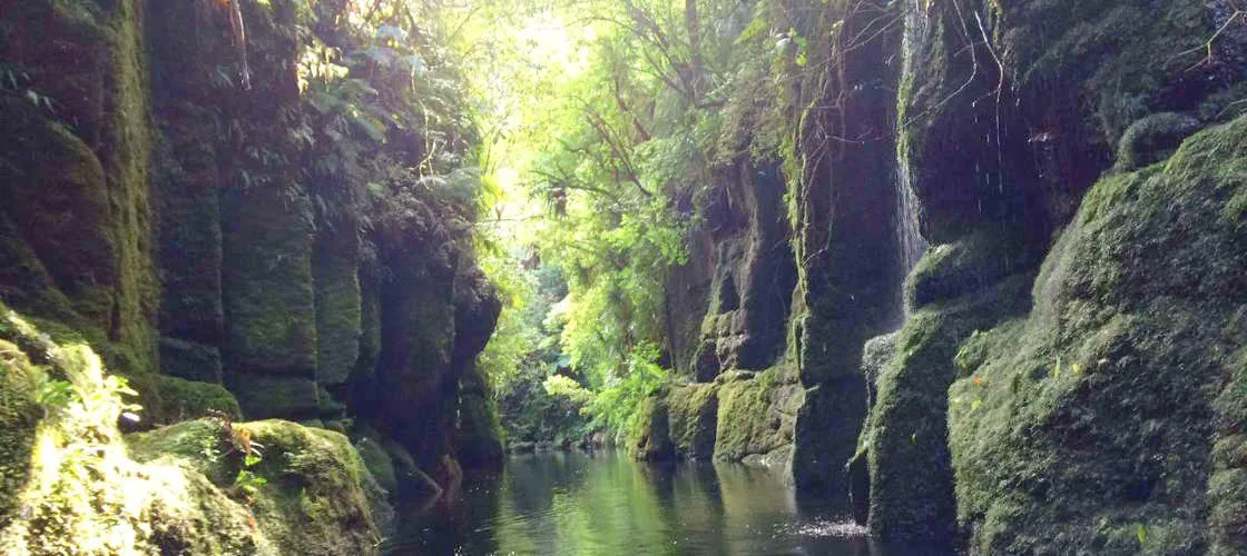 Tauranga Lake McLaren Kayak Tour | Experience NZ-5