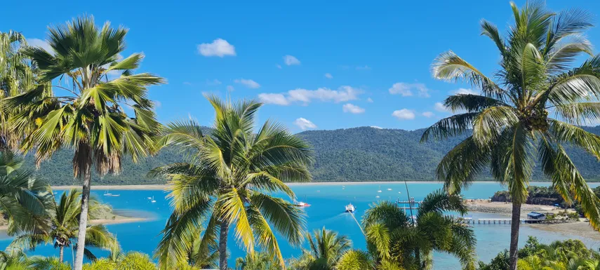 Airlie Beach Sightseeing Tour - 3 Hours | Experience Oz