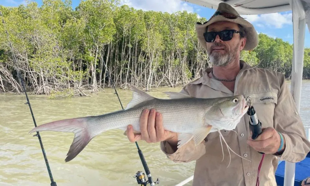 Cairns Afternoon Estuary Fishing Charter | Experience Oz-2