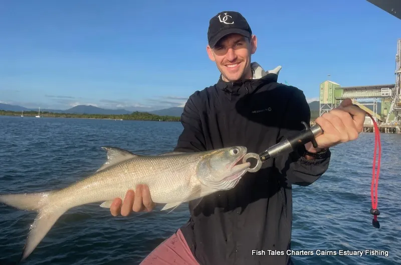 Cairns Afternoon Estuary Fishing Charter | Experience Oz-1