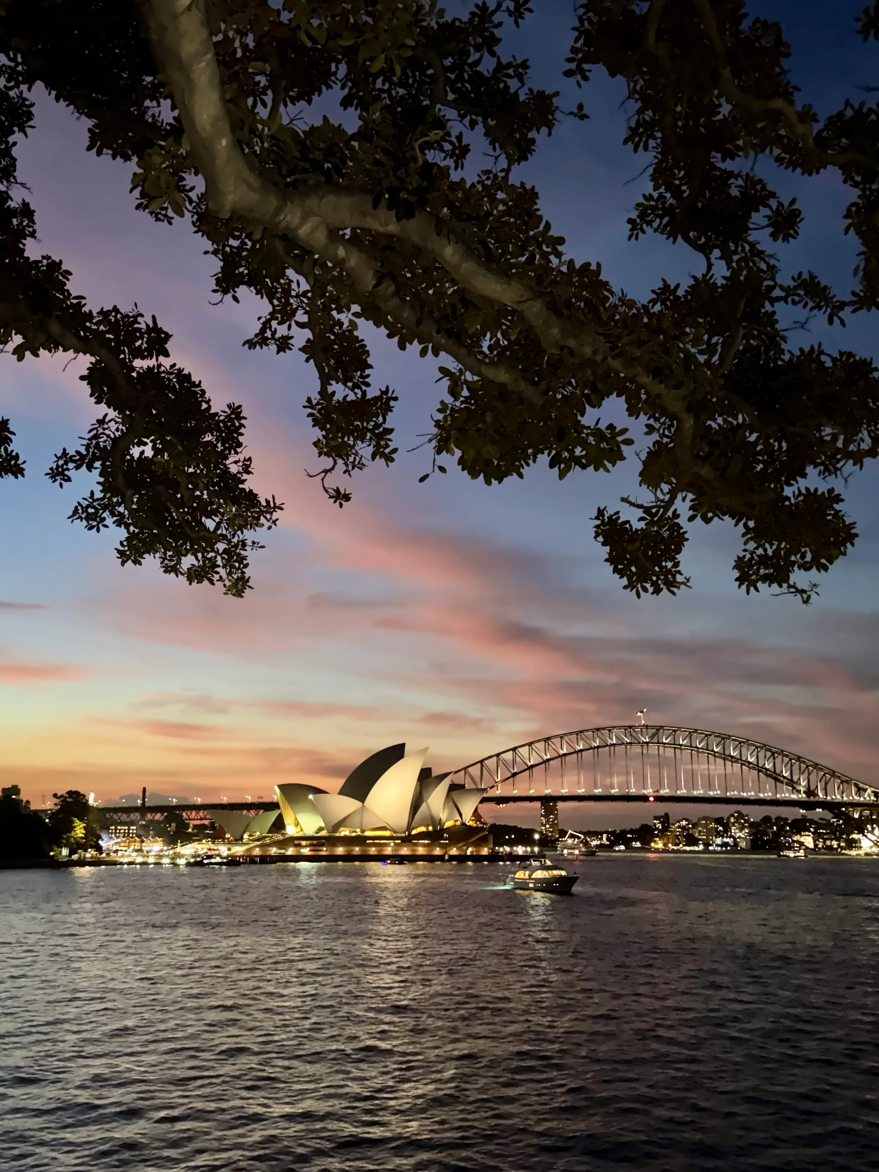 Big Bus Night Tour - 90 Minutes - Book Now | Experience Oz-2