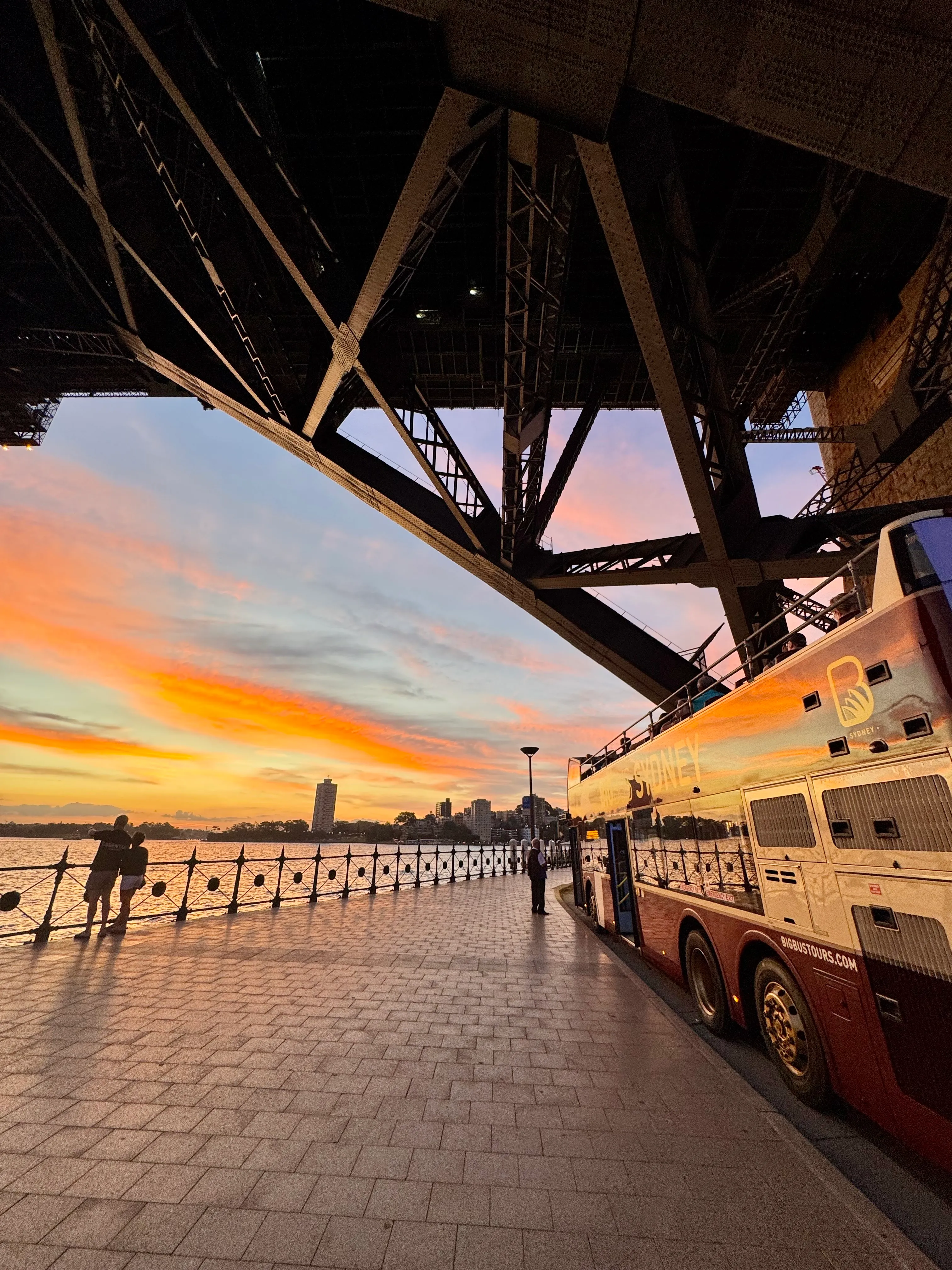 Big Bus Night Tour - 90 Minutes - Book Now | Experience Oz-7