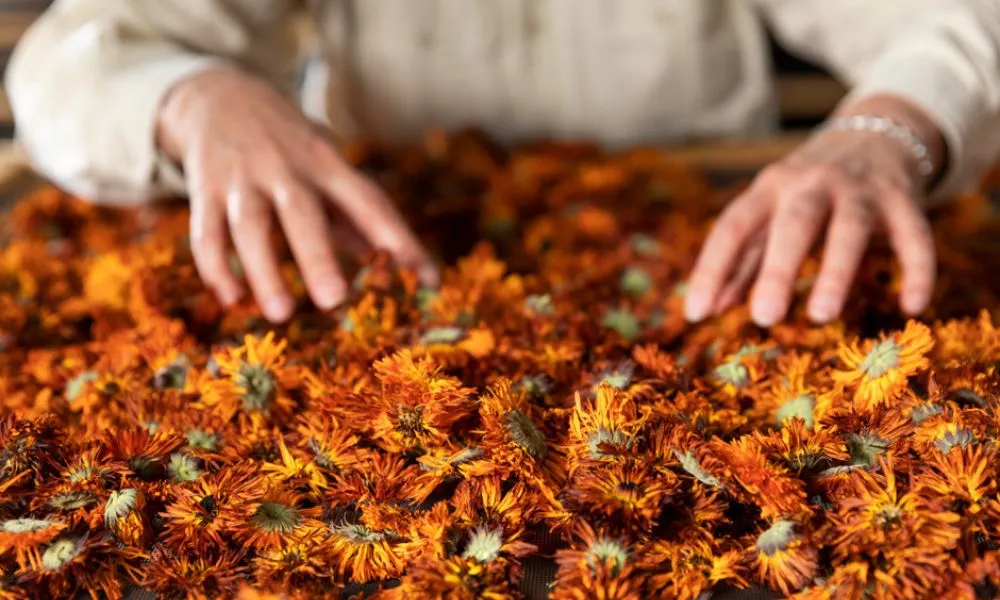 Jurlique Aromatherapy Masterclass - 2 Hours | Experience Oz-5