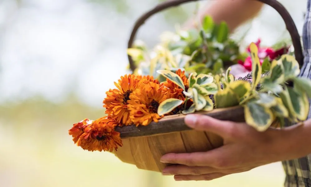 Jurlique Aromatherapy Masterclass - 2 Hours | Experience Oz-4