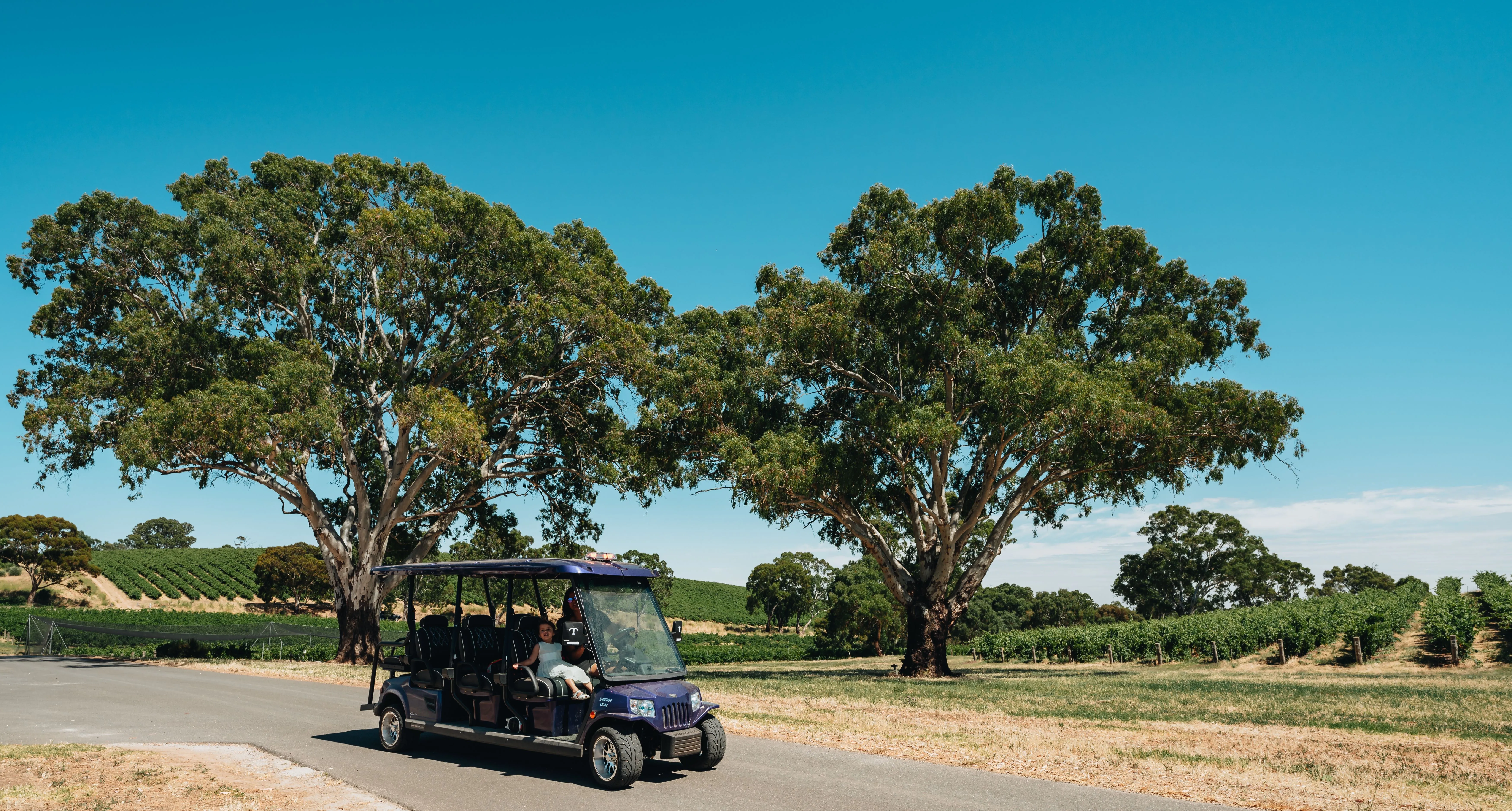 Lambert Vineyard E-Cart Tour - 1 Hour - For 2 | Experience Oz-1